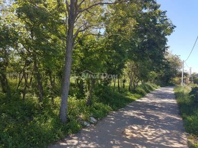 Land in the village of Privlaka