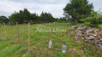 Agricultural land, 899 m2