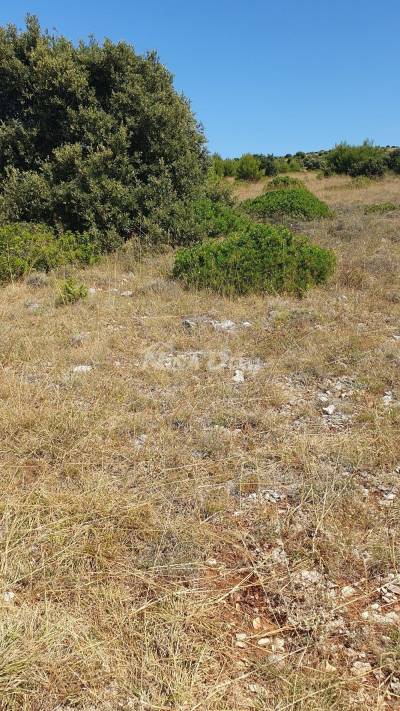 Poľnohospodársky pozemok 3409 m2, 12 €/m2 Skalinice