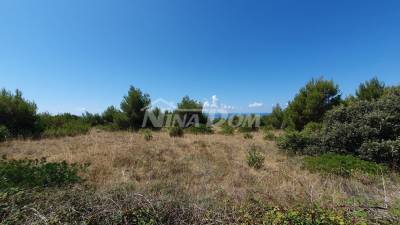 Agricultural land with access asphalt road.