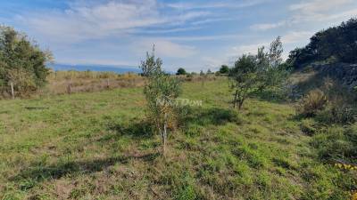 Agricultural land, olive grove, well 99 meters deep, fenced.