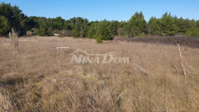 Arable land with two access roads