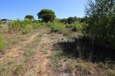 Bilotinjak land T2 and T3 zone obligation to create a UPU plan