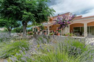 Residential and commercial building with a large garden and swimming pool