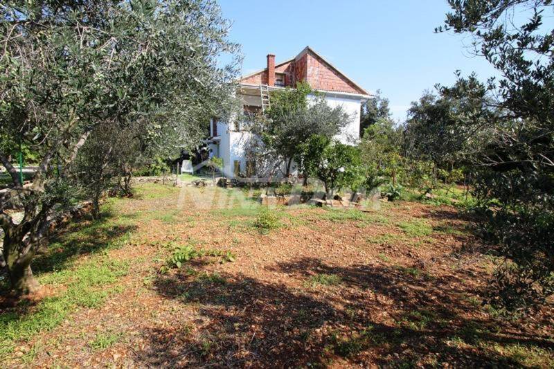 House Vir with large garden (south side) - 1