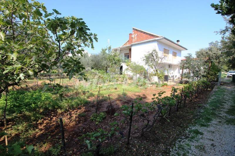 House Vir with large garden (south side) - 11