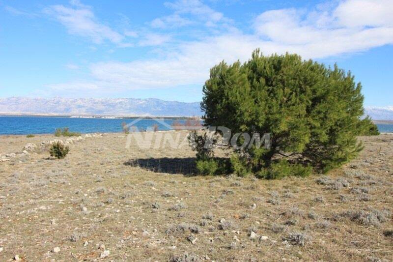 Agricultural land near the sea. - 6