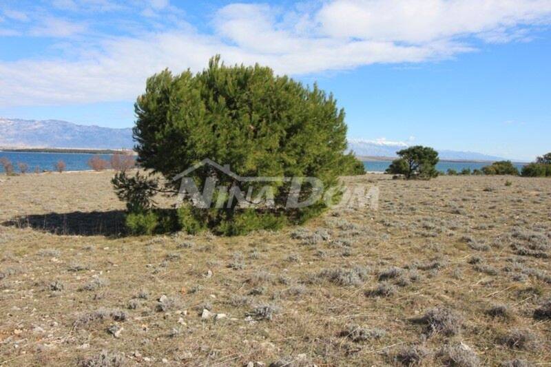 Agricultural land near the sea. - 7