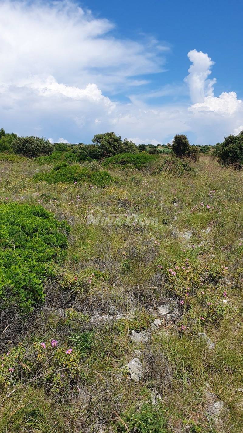 Agricultural land 7168 m2, access from asphalt. Sea View. - 2