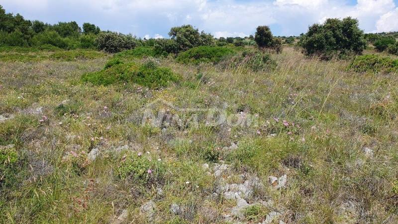 Agricultural land 7168 m2, access from asphalt. Sea View. - 3