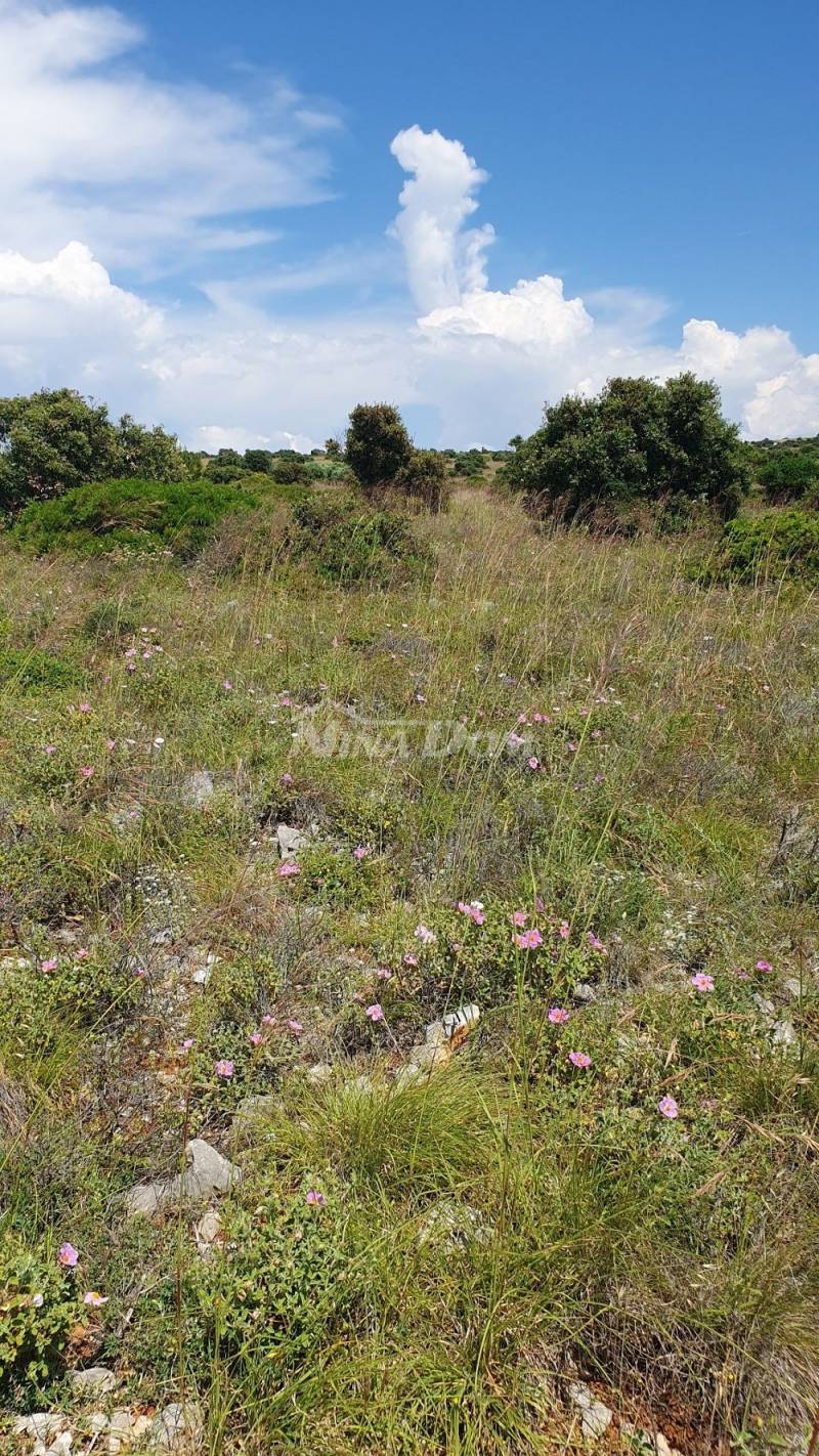 Poljoprivredno zemljište 7168 m2, pristup s asfalta. Pogled na more. - 7