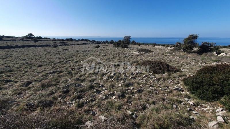 Agricultural land Barbenjak 12745 m2 - 2
