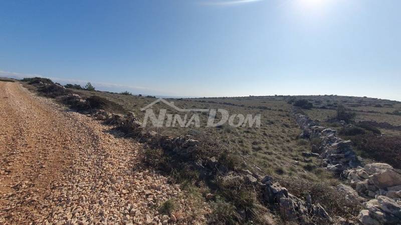 Agricultural land Barbenjak 12745 m2 - 5