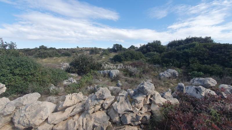 Agricultural land Barbenjak 12745 m2 - 6