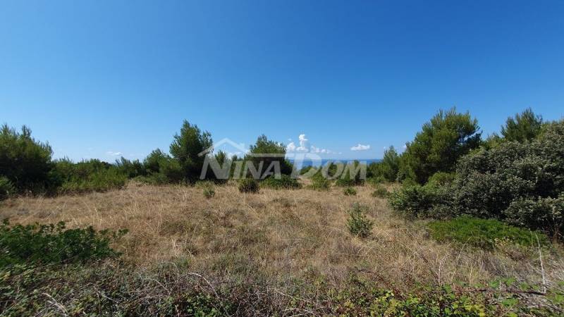Agricultural land with access asphalt road. - 1