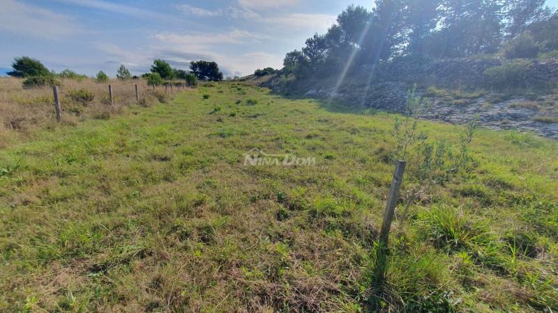 Poľnohospodárska pôda, olivový háj, studňa hlboká 99 metrov, oplotená. - 2