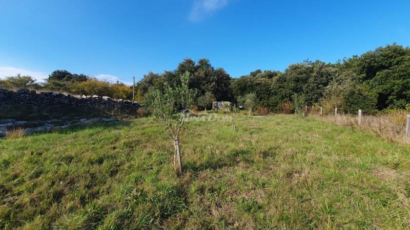 Poľnohospodárska pôda, olivový háj, studňa hlboká 99 metrov, oplotená. - 4