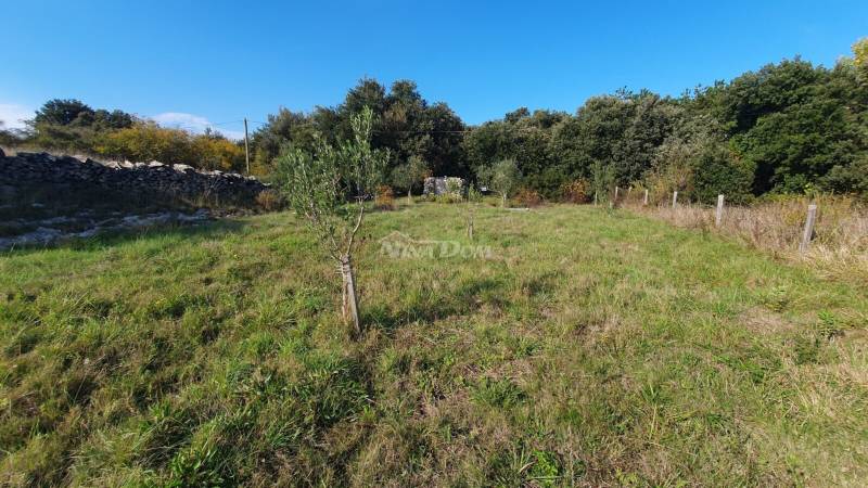 Agricultural land, olive grove, well 99 meters deep, fenced. - 3