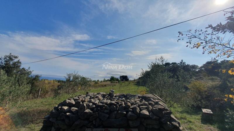 Agricultural land, olive grove, well 99 meters deep, fenced. - 5