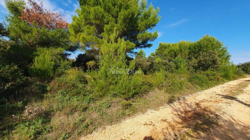 Agricultural land 70 meters from the sea - 2