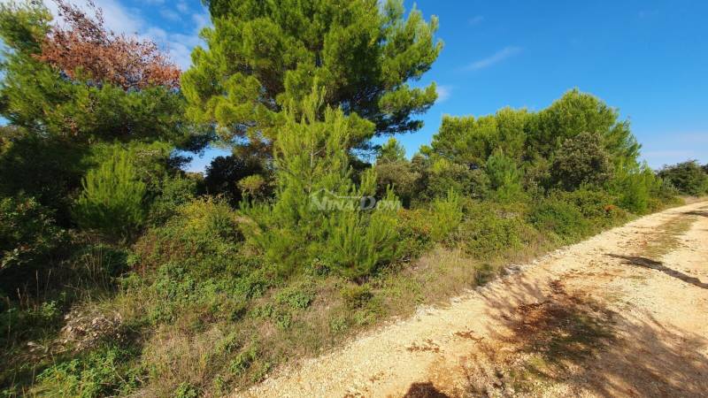 Agricultural land 70 meters from the sea - 3