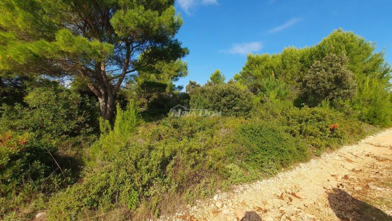 Agricultural land 70 meters from the sea - 4