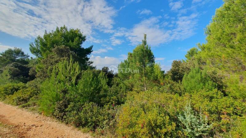 Agricultural land 70 meters from the sea - 6