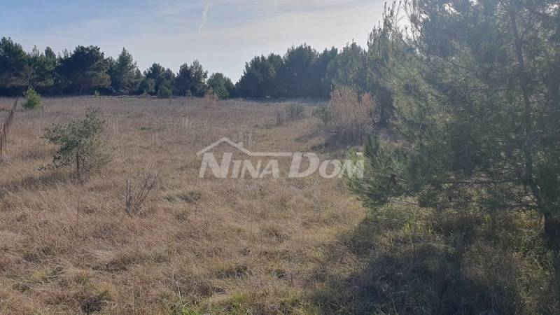 Arable land with two access roads - 4