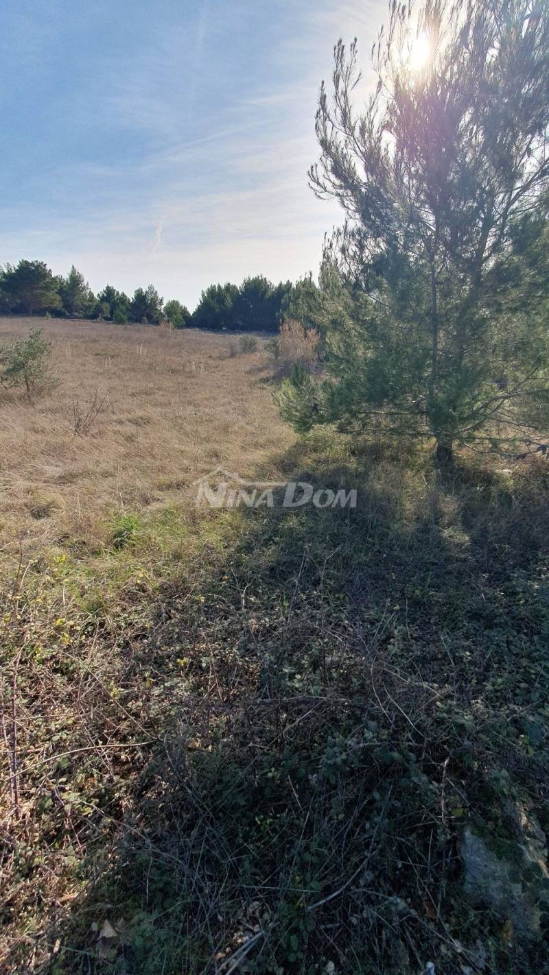 Arable land with two access roads - 6