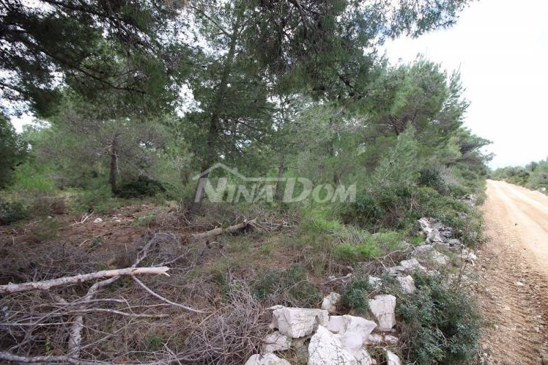 Land 2072 m2 next to a public road T2 zone 35 €/m2 - 4