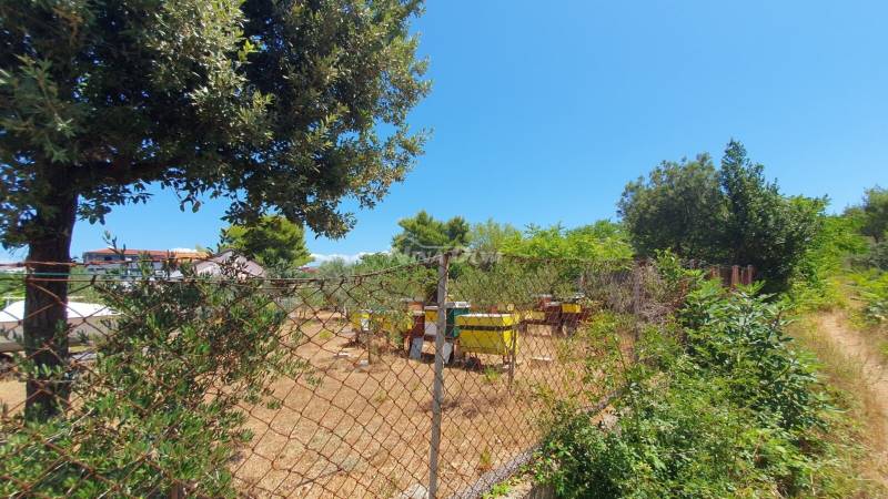 Land outside the construction zone with legalized buildings. - 2