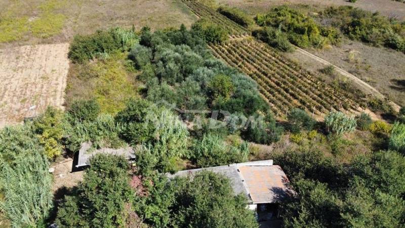 Rodinný pozemok s krásnym olivovým hájom a vinicou - 5