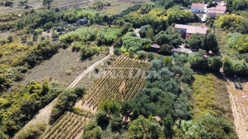Rodinný pozemok s krásnym olivovým hájom a vinicou - 7