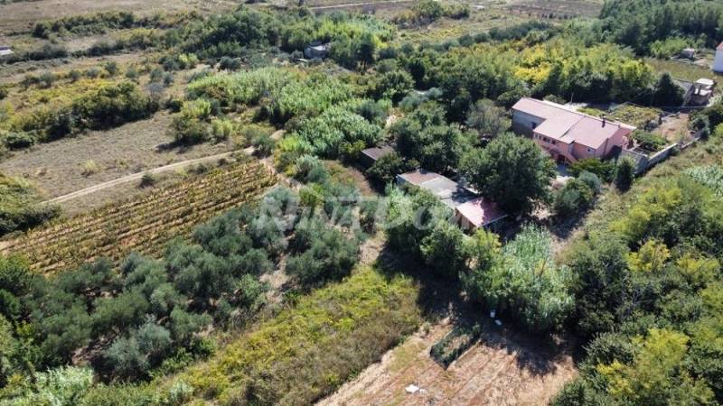 Rodinný pozemok s krásnym olivovým hájom a vinicou - 13