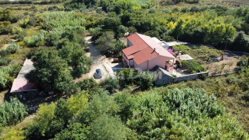 Family property with a beautiful olive grove and vineyard - 8