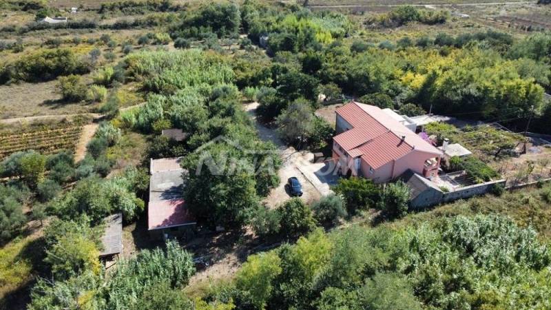 Family property with a beautiful olive grove and vineyard - 14