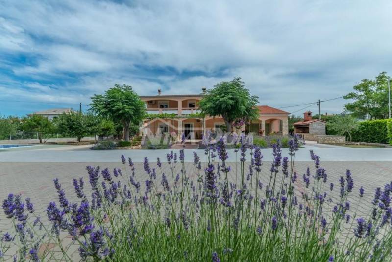 Residential and commercial building with a large garden and swimming pool - 6