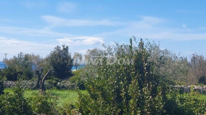 Zaton, 50 m. from the sea, building land with preliminary project with 9 units - 2