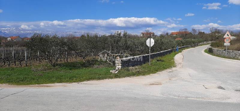 Predaj stavebného pozemku s prístavkom a olivovníkmi - 2