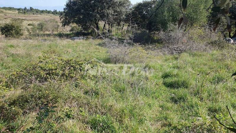 Izgrađeni dio građevinske zone - 3