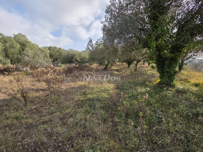 Kožino building land for sale with a view - 2