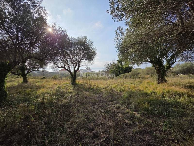 Kožino prodaja građevinskog zemljišta sa pogledom - 1