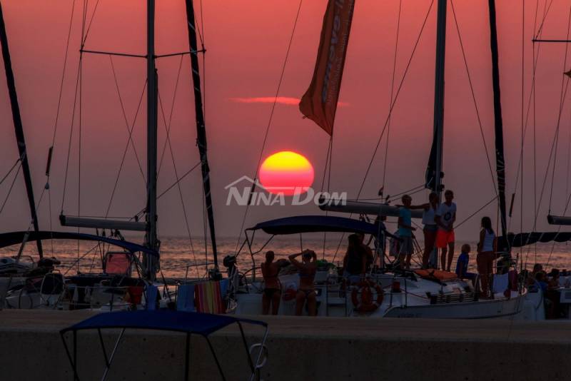 Prvi red otok Premuda rijetkost na tržištu - 5