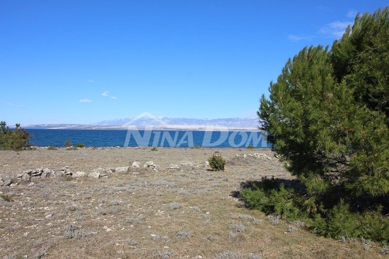 Agricultural land near the sea.