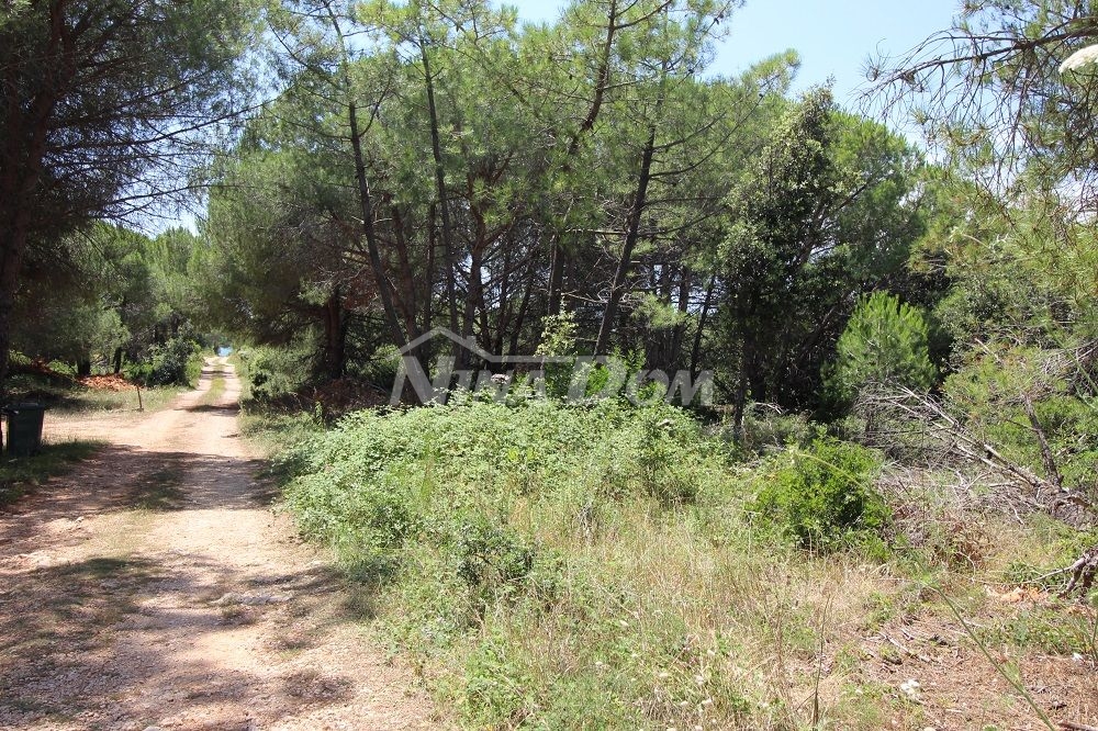Južná strana ostrova Vir, 1200 m2, pozemok podľa plánu UPU