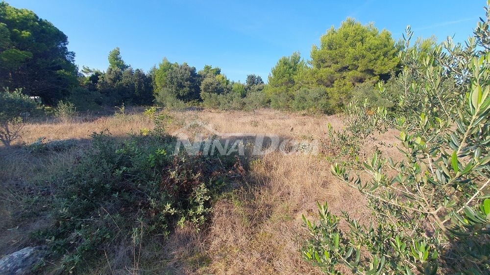 Poľnohospodárska pôda s olivovníkmi, pri domoch 
