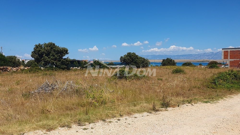 Agricultural land in a populated street, bordering houses.